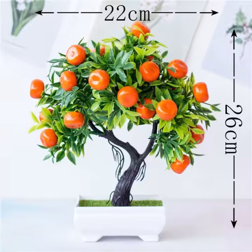 MANDALINA BONZAI AGACI