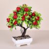 EVA-5698 NAR AGACI PK:36 LI